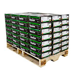 globalprocurementindustry.com